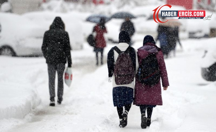 Van'da kar yağışı nedeni ile 7 ilçede okullar tatil edildi