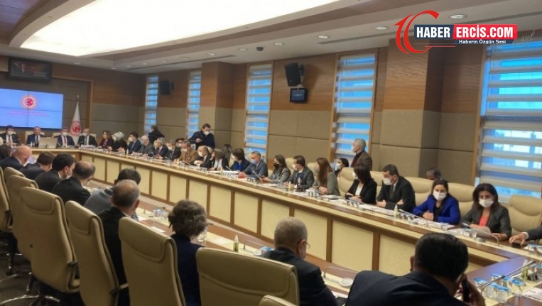 HDP Milletvekili Semra Güzel’i komisyonda Tiryaki savunacak