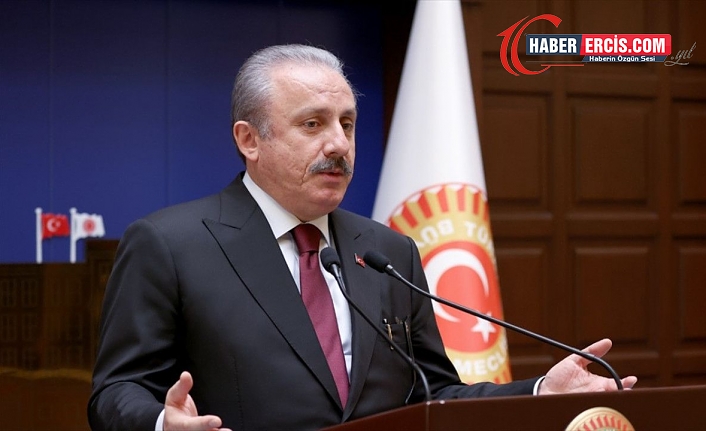 Şentop, Erdoğan'ın Cumhurbaşkanı adayı olabileceğini savundu