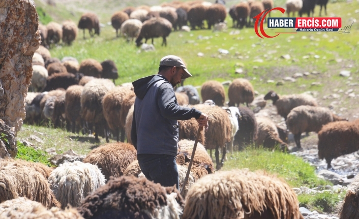 Van ve Hakkari'de Çobanlara ‘güvenlik soruşturması’ şartı
